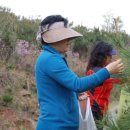 송진농장 이미지