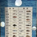 바다수산회 이미지