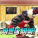 킷테 이미지