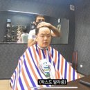 이듬해봄 이미지