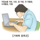 팀JJ피트니스 이미지