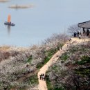 여수한국관광여행사 이미지