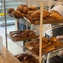 거양길 | 창원 웨이팅 소금빵집 사파동 시오소코 평일 방문후기