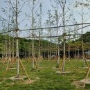 경충대로 2697번길 2 이미지