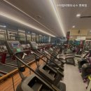 스타칼리휘트니스 이미지