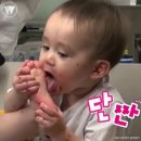 디저트(빵+쿠키) 이미지