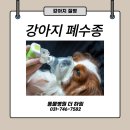 동물병원 더 하임 이미지