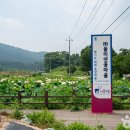 미연농장 이미지