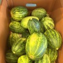 창원 한국노인인력개발원 컵과일 납품 후기 🍓