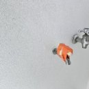 혜성바이오 이미지