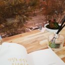 호평서적 - 1255 | 호평서적