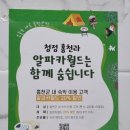 홍천반딧불캠핑장 이미지