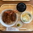 [삿포로여행] 준페이 확정 &#39;흰그림자 비에이 투어&#39; 내돈내산 후기 / 포즈 추천, 꿀팁 다수