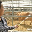 황고개농장 이미지