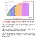 하브루타창의논술