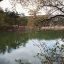 숲속으로 이미지