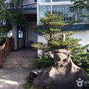 지삿개풍경