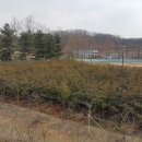 동막동(6) 이미지