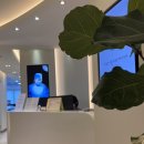 사랑니를부탁해구강악안면외과치과의원 이미지