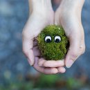 신용LPG충전소 이미지