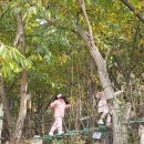 새보람유치원 이미지