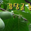 백곡농장 이미지