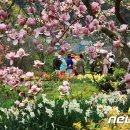 천리포수목원 이미지