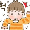 아이와이즈주