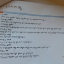 힐링타임365