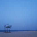 낙산해변에서 영원을 맹세하던 ＜너＞이야기 이미지