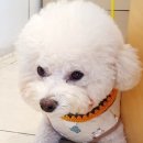도너츠윤 일산점 이미지
