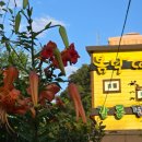 갈론펜션 이미지