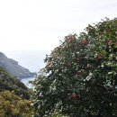 신평농협주유소 이미지