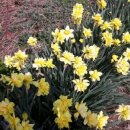 남화농장 이미지