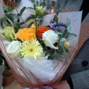 사파동358 이미지