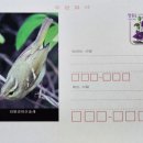 산솔새 이미지