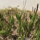 삼계초등학교 이미지