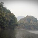 고삼호수로 이미지