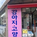 BOB애견용품 | “BOB애완용품전문점 목동점”, 목동애견용품 호두쇼핑후기🐶