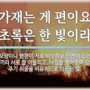 초록동색(草綠同色) 이미지