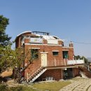 카페달꽃정원 | 남악 브런치카페 달꽃언덕 내돈내산 솔직 후기