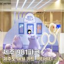 981 | 제주 981파크 할인 예약 | 제주도 애월 카트 액티비티 꿀팁 후기
