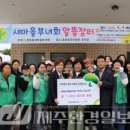 효돈동-4 이미지