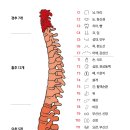 스킨케어다온