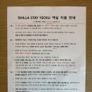[여수 여행] 신라스테이 여수 / 여수 숙소 / 여수 가성비 숙소 추천 / 수영장 이용 / 스탠다드 더블 오션뷰