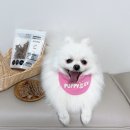 퍼피럽 | [강아지 수제간식] 첨가물없이 안심하고 먹이는 퍼피럽 오리안심(내돈내산)