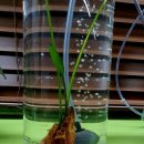 수출대로-22 | 친근한 화분이 한가득 구미사주 방문후기