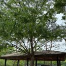 난지천4(놀이터) 이미지