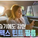 에이펙스글로벌 이미지