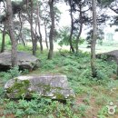 용월리지석묘군 이미지